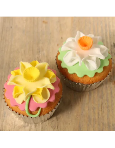 Cortador doble flor/círculo