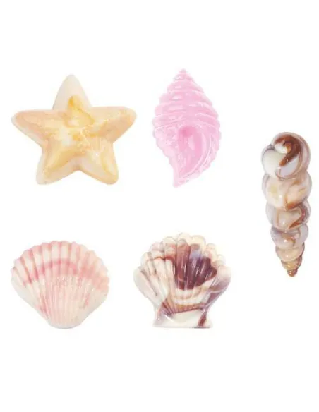 Candy mold conchas y estrellas de mar Wilton