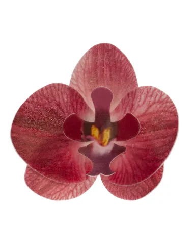 Set 10 orquídeas burdeos de oblea 7,5 - 8,5 cm Dekora