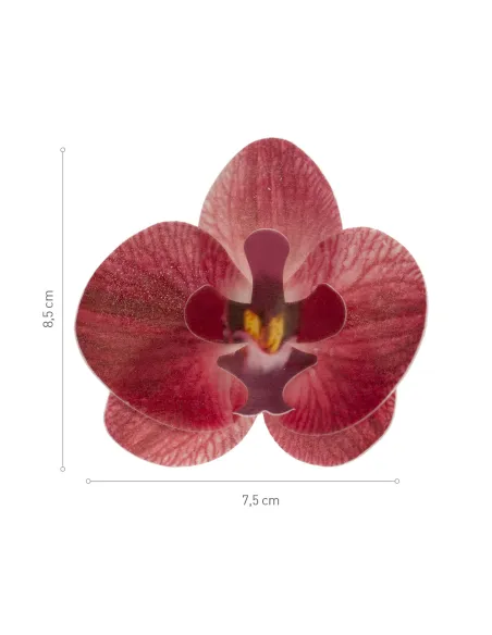 Set 10 orquídeas burdeos de oblea 7,5 - 8,5 cm Dekora