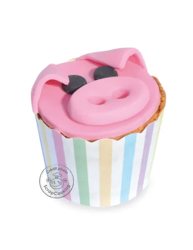 Set 25 cápsulas rígidas lunares y rayas de colores Scrapcooking