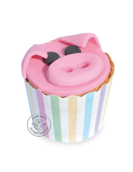 Set 25 cápsulas rígidas lunares y rayas de colores Scrapcooking