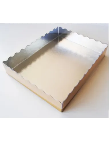 Cubeta con tapa de acetato transparente 24 x 18 cm