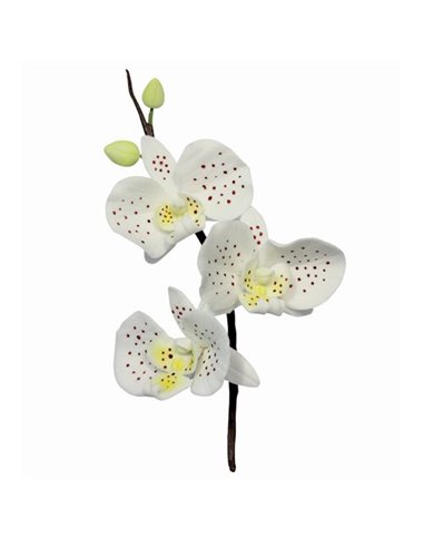 Set 3 cortadores Orquídea PME