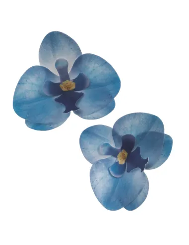 Set 10 orquídeas azules de oblea 7,5 - 8,5 cm Dekora