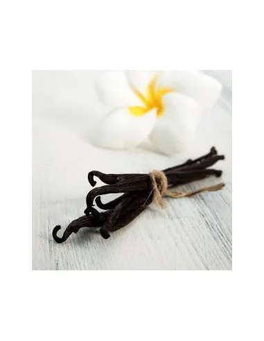 Aroma en pasta Vainilla 100 g Funcakes