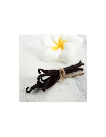 Aroma en pasta Vainilla 100 g Funcakes