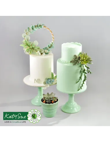 Molde silicona Suculentas Katy Sue