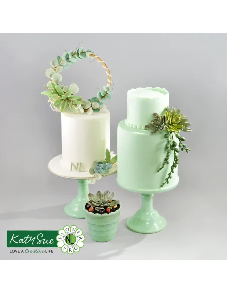 Molde silicona Suculentas Katy Sue