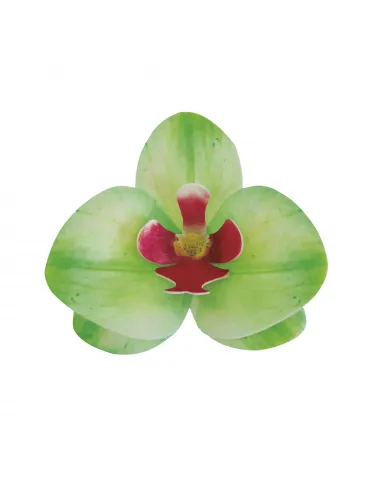 Set 10 orquídeas verdes de oblea 7,5 - 8,5 cm Dekora
