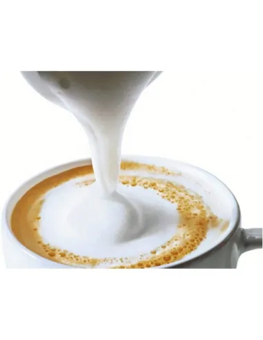 Batidor espumador de leche Ibili