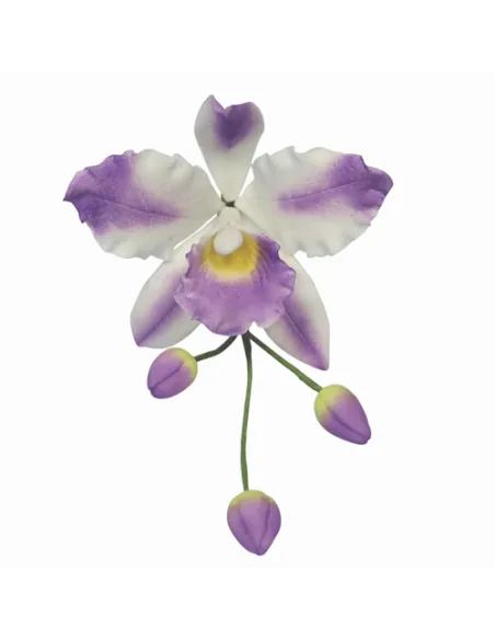 Cortadores orquídea cattleya