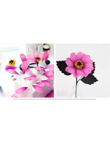 Set 5 cortadores hojas y pétalos FMM