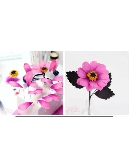 Set 5 cortadores hojas y pétalos FMM