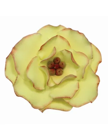 Set 4 cortadores redondos Rosa salvaje PME