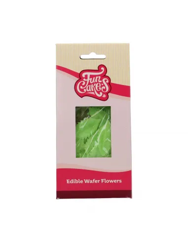 Set 50 hojas verdes de oblea Funcakes