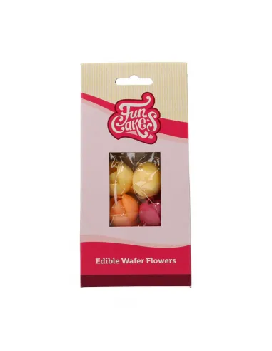 Set Peonías de colores de oblea Funcakes