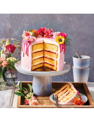 Preparado para Bizcocho Deluxe 1 kg Funcakes