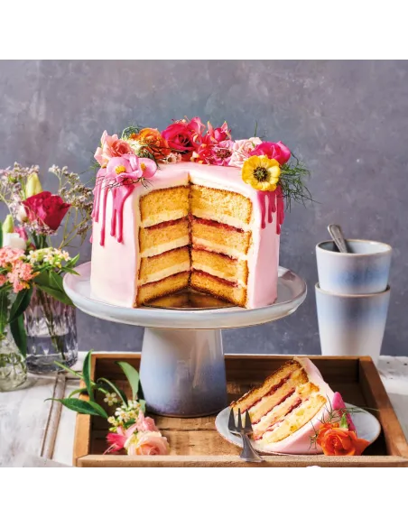 Preparado para Bizcocho Deluxe 1 kg Funcakes