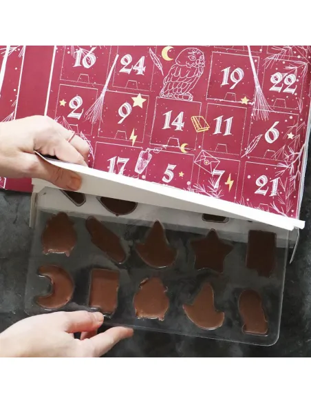 Calendario de Adviento Magic Wizard ScrapCooking