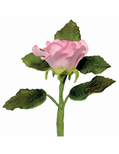 Set de 3 cortadores cáliz