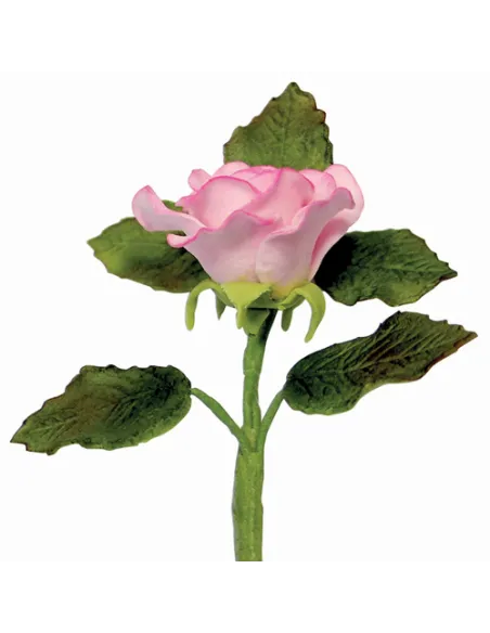 Set de 3 cortadores cáliz