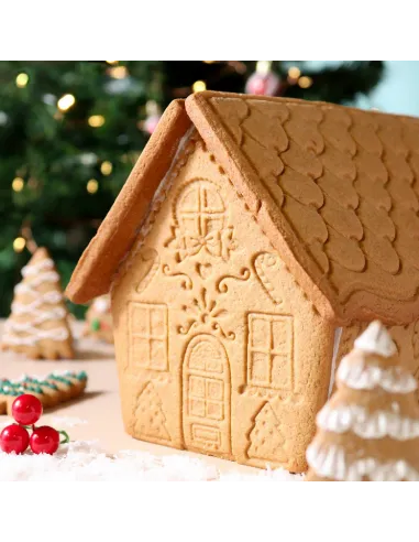 Set 3 cortadores y 3 estampadores Casa de Jengibre Navidad PME