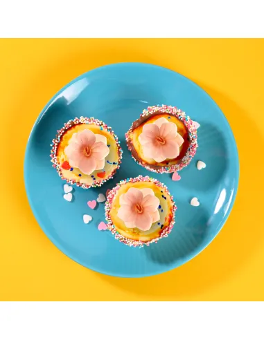 Set 18 Flores de oblea Rosa claro Dekora