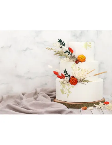 Set 3 aros redondos de acero inoxidable Cake Masters