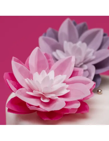 Lirio de agua de oblea Rosa Dekora