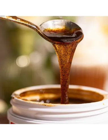 Pasta de Vainilla de Madagascar orgánica 118 ml LorAnn