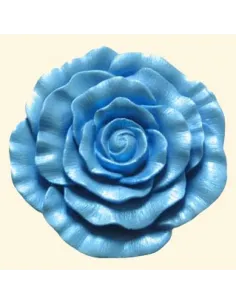 Molde silicona rosa