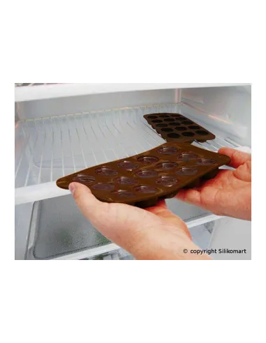 Molde bombón Dinosaurios Silikomart