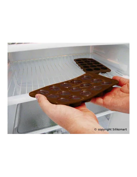 Molde bombón Dinosaurios Silikomart