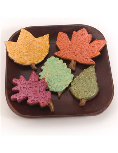 Set de 6 tapetes texturizadores flores