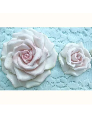 Molde de silicona 5 rosas