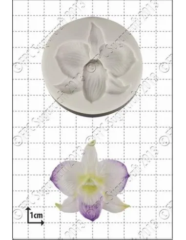 Molde de silicona Dendrobium