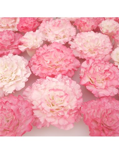 Set 2 cortadores El clavel más fácil del mundo