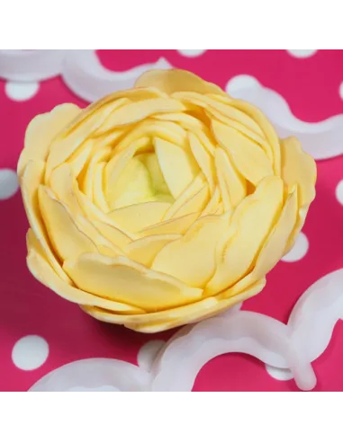 Set 2 cortadores El ranúnculo más fácil del mundo