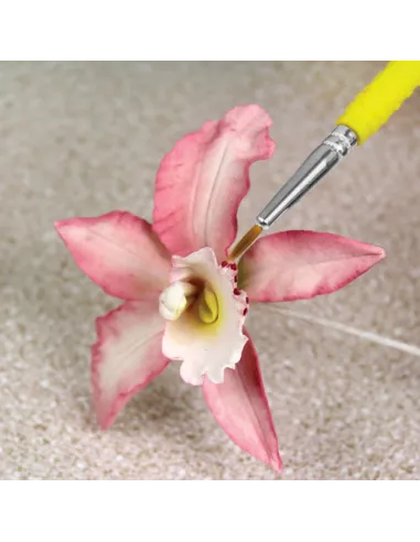 Set 5 pinceles brocha fina PME