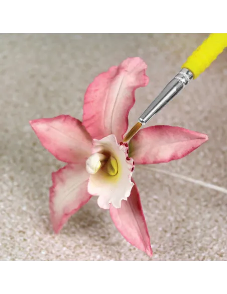 Set 5 pinceles brocha fina PME