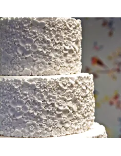 Molde silicona efecto flores de azúcar Karen Davies 2