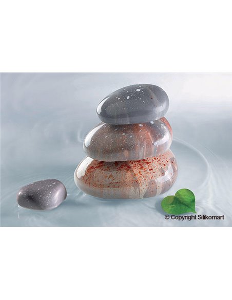 Molde silicona Zen100 Silikomart