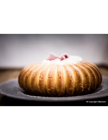 Molde silicona Raggio Silikomart