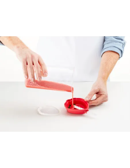 Set 4 moldes para helados Fresa Lékué