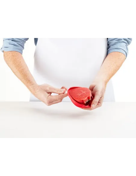 Set 4 moldes para helados Fresa Lékué