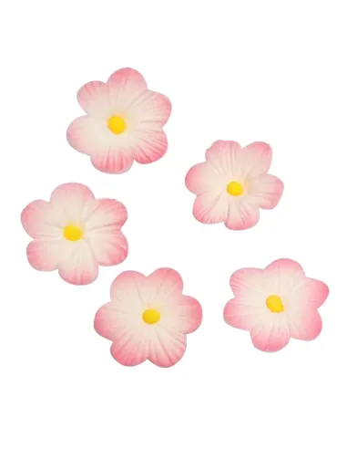 Set 12 decoraciones azúcar Flores rosas y blancas