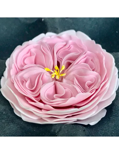 Set 3 cortadores Rosa inglesa FMM