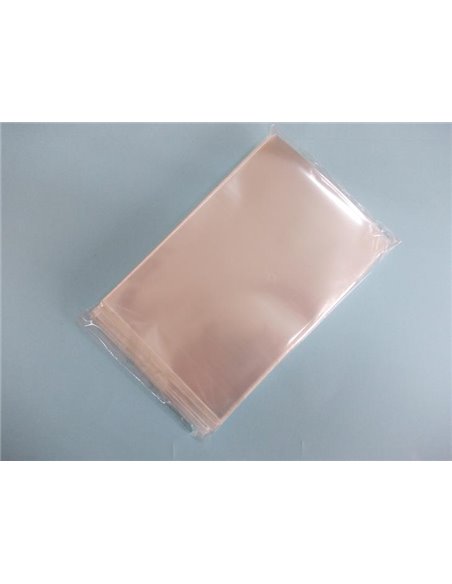 Bolsa polipropileno 10 X 15 cm -100 unidades