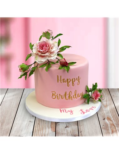 Marcadores letras mayúculas y minúsculas PME